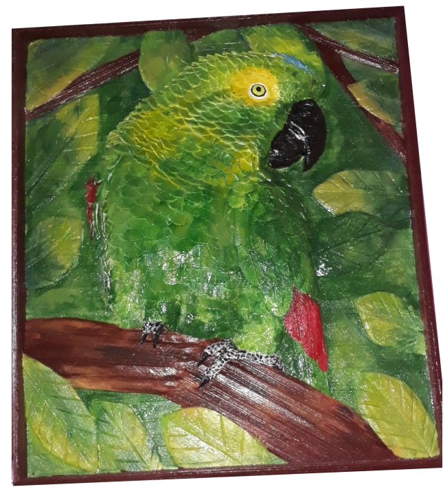 Papagaio da Amazônia