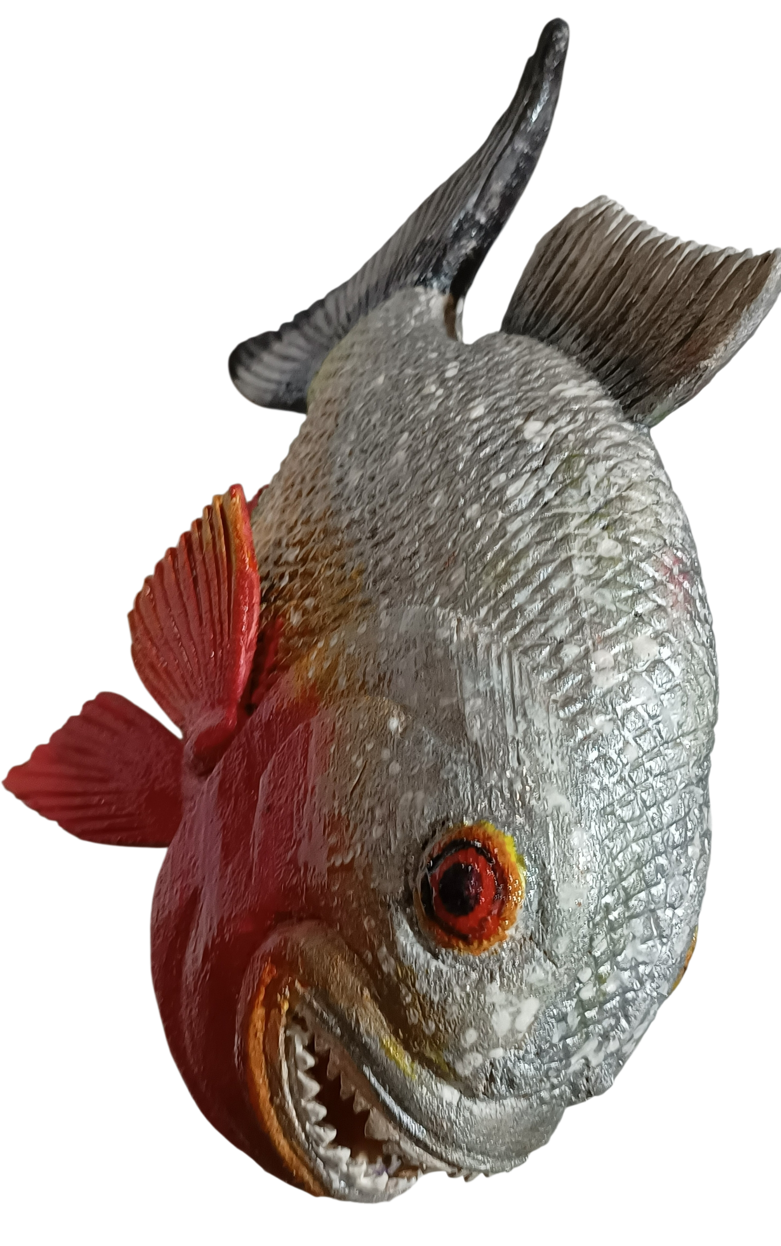 Peixe Piranha