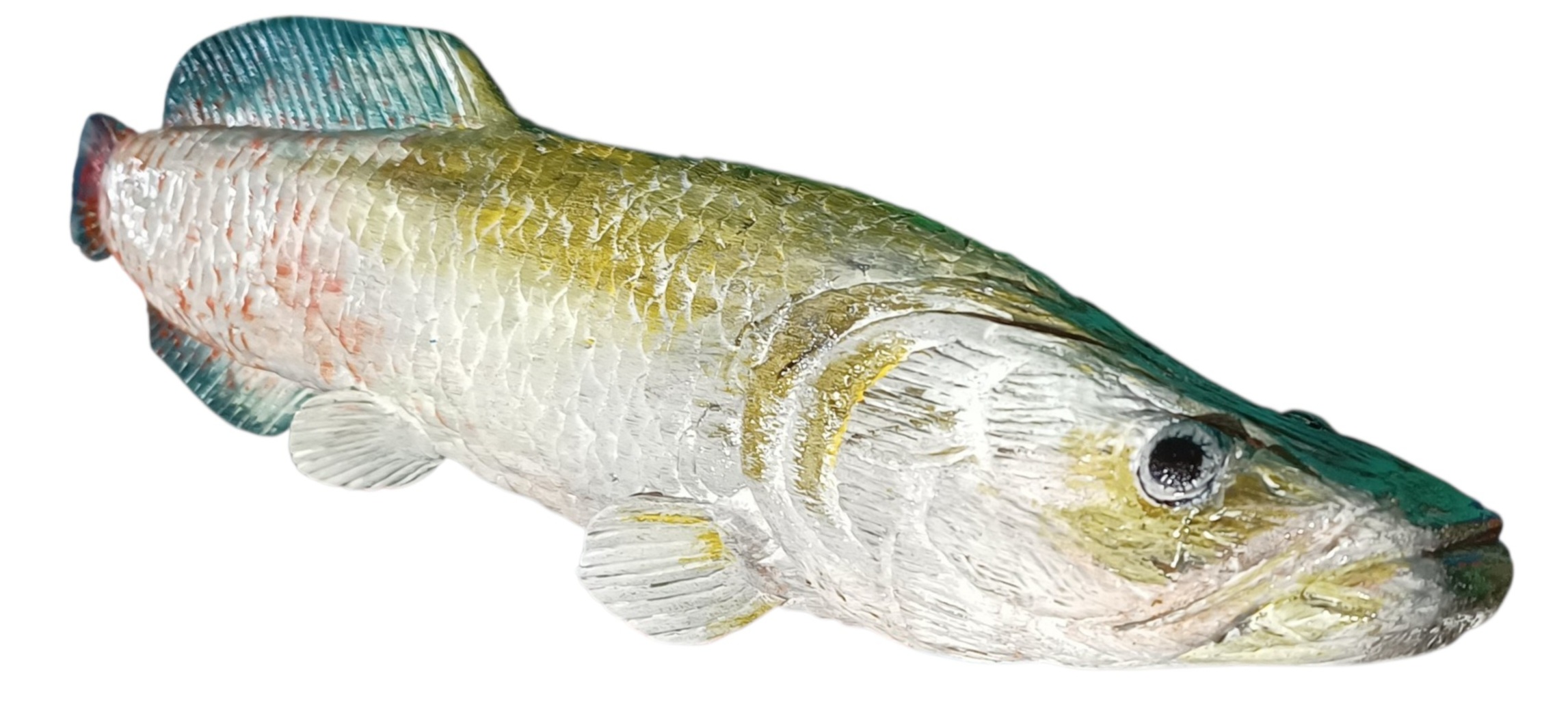 Pirarucu