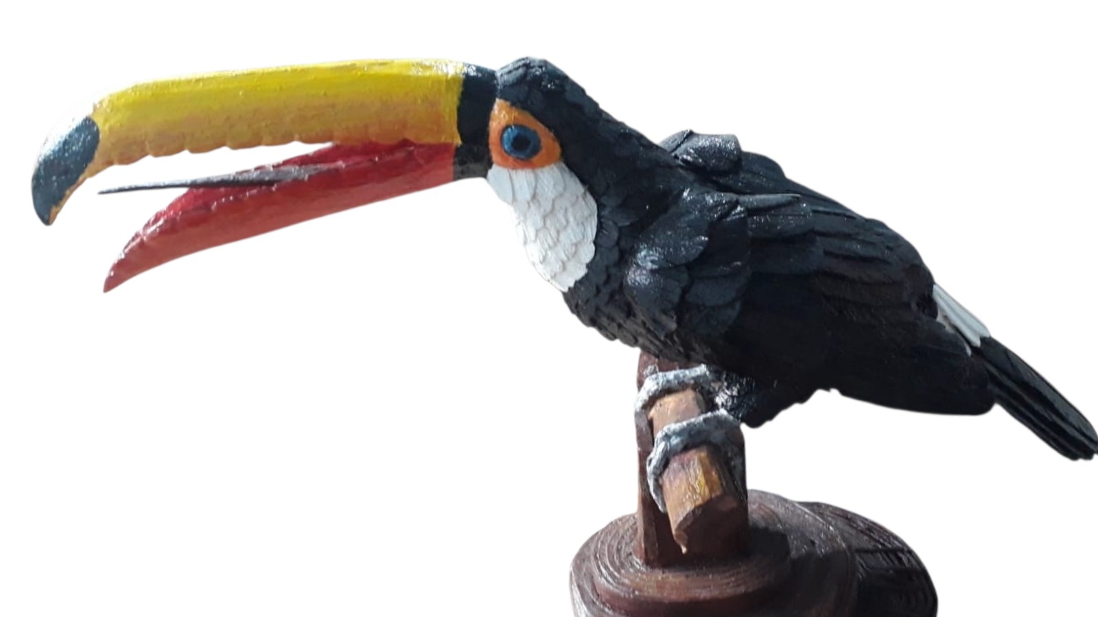 O Tucano